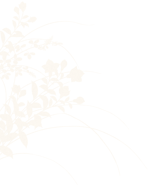 deco